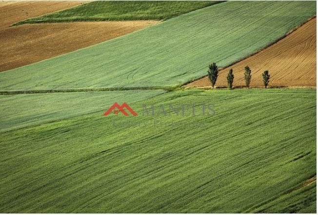 (For Sale) Land Plot || East Attica/Stamata - 2.850 Sq.m, 725.000€ 