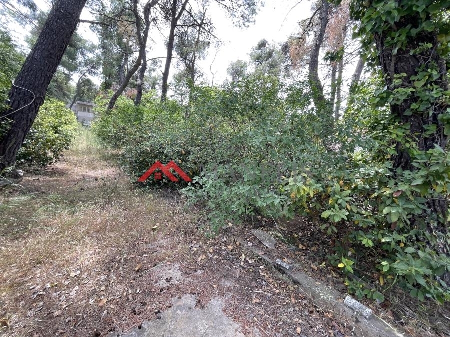 (For Sale) Land Plot || Athens North/Marousi - 1.070 Sq.m, 1.300.000€ 